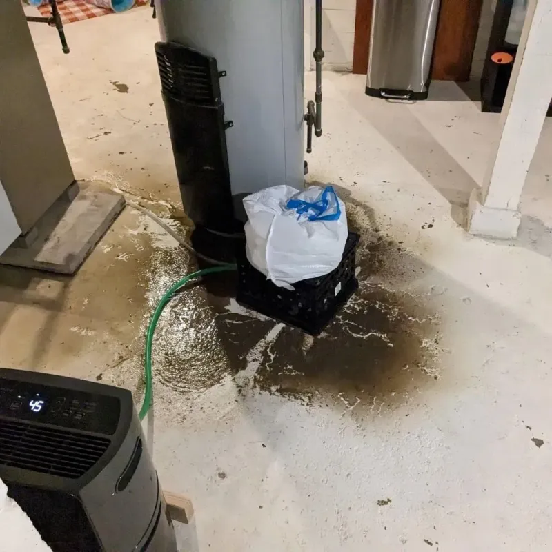 Sewage Backup Cleanup Service in Saint Martins, MO